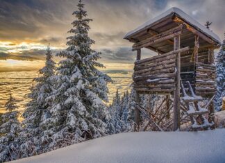 Kto kontroluje myśliwych? Kto kontroluje myśliwych?