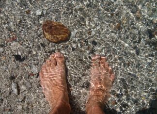 Co daje tytuł licencjata? Co daje tytuł licencjata?