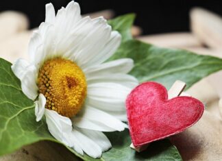 Jaki zacisk do linki stalowej? Jaki zacisk do linki stalowej?