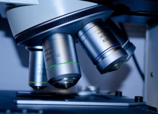 Ile lat trwają studia leśne? Ile lat trwają studia leśne?