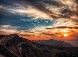 W jakich godzinach pracuje Leśniczy? W jakich godzinach pracuje Leśniczy?