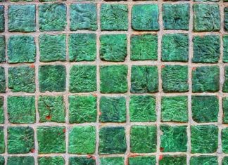 Jak połączyć dwa rodzaje płytek na podłodze? Jak połączyć dwa rodzaje płytek na podłodze?